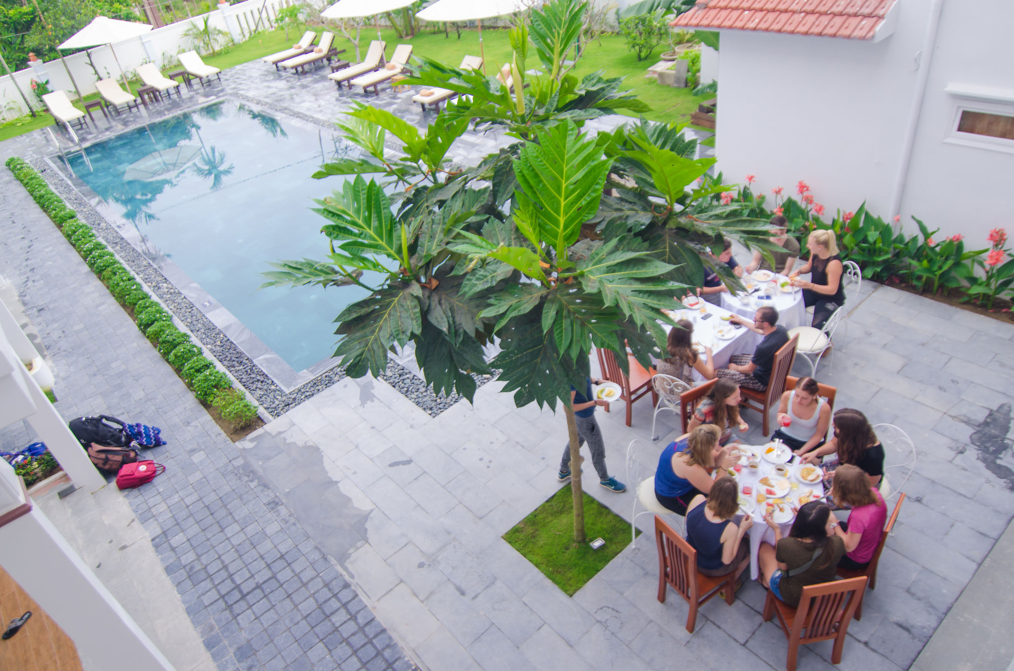 Hoi An Palmy Villa Extérieur photo